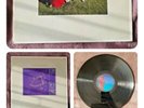 Rush - Signals - Uk 1st Vinyl Pressing Mercury 6337 243 12 inch Vinyl Record