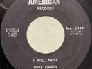 Pure Grain-I Will Arise-RARE Furious Xian Psych Hard Rock Private 45