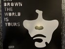 *RARE* World Is Yours by Ian Brown (Record, 2007)