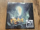 The Verve - A Storm In Heaven - Vinyl - New/Sealed