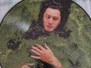 ALAIN BASHUNG Fantaisie militaire LP PICTURE DISQUE RARE