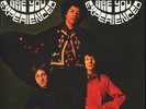 JIMI HENDRIX EXPERIENCE - ARE YOU EXPERIENCED - BRAND NEW 2LP 180G REMASTER 
