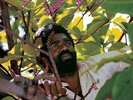 Junior Byles Rasta No Pickpocket (Vinyl)