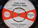 DERRICK HARRIOTT TANG TANG FESTIVAL / JAMES RAY UK ISLAND 7