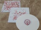Pierce the Veil Misadventures Vinyl (White)  w/ insert PRISTINE CONDITION