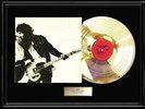 BRUCE SPRINGSTEEN BORN TO RUN GOLD RECORD LP ALBUM NON RIAA AWARD