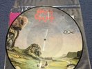 Nasty Savage Indulgence LP Restless Metal Blade 1987  PICTURE DISC thrash metal