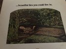 Tom Rapp Pearls Before Swine beautiful lies you could live in. PROMO WHITE LABEL