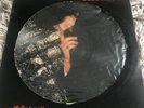Philip Lynott Solo In SoHo Picture Disc 1980 Vertigo Ex/VG