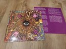 Legendary Pink Dots LP The Crushed Velvet Apocalypse - Play It Again Sam