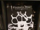 Clandestine Blaze/fist Of The Northern Destroyer/vinyl/black Metal