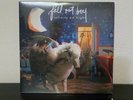Fall Out Boy Infinity on High Limited Glitter Blue Colored Vinyl 2XLP SHIPS NOW