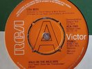 LOU REED 'WALK ON THE WILD SIDE' B/W 'PERFECT DAY' RCA 2303 UK DEMO 7