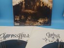 Cypress Hill  Black Sunday 2x 12