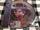 Aesop Rock Rob Sonic Bestiary by Hail Mary Mallon 2014 Vinyl Picture Disc LP