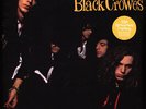 Black Crowes, The - Shake Your Money Maker 202 (Vinyl LP - 2021 - US - Original)