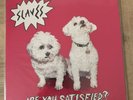 Slaves -Are you satisfied? Vinyl record