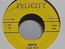 THE SPEEDS 45 I'll Go Crazy /Hurtin Don Henley James Brown VERY RARE (PLAY LINK)
