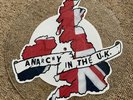 Megadeth-anarchy In The Uk-uncut shaped Picture Disc-limited-TEST PRESSING