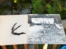 2 VINTAGE RECORD ALBUMS VINYL THE SUN CITY GIRLS ,HORSE COCK PHEPNER