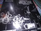 Halestorm - Into The Wild Live: Chicago Limited Edition colored 10” vinyl RARE