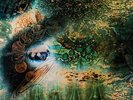 Pink Floyd A Saucerful Of Secrets (Vinyl)