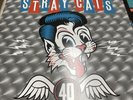 Stray Cats 40 Rare Vinyl Tiger Army Reverend Horton Heat Horrorpops