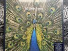 The Bluetones – Expecting To Fly Blue Vinyl 25th Ann Box Set Sealed