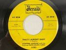 Herald 483 Lightnin Hopkins w/ Ruth Ames - Finally Met My Baby ERROR 7