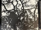 Jeffery Liberman Synergy OG LP 1978 on Librah Psych Rock Jazz Funk Acid Archives
