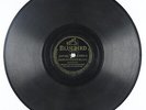 Prewar Blues 78 - Washboard Sam - Digging My Potatoes No. 2 - Bluebird B-8554