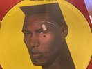 Grace Jones “Living My Life” Rare 12” Uk Vinyl Full Album PICTURE DISC 1982
