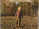 ALLMAN BROTHERS BAND: Brothers and Sisters US Capricorn Southern Rock Vinyl LP