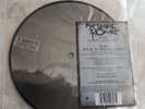 My Chemical Romance ‎– I Don't Love You/ House Of Wolves 7” Vinyl Picture Disc