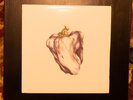 Ween White Pepper White Vinyl Plain Recordings (very good press)