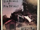 EDIE BRICKELL & NEW BOHEMIANS - Ghost Of A Dog - 12