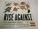 Rise Against Long Forgotten Songs B-Sides & Covers 2000-2003 2-LP Green Marble
