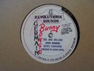 BERES HAMMOND Irie & Mellow REVOLUTIONARY SOUNDS  Nice  Reggae 12