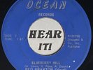 Rockabilly Rockin Country Jiver 45 RED BRAXTON Blueberry Hill OCEAN rare unknown