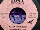 Christopher Cerf Watch Your Step/I Say Love- Garage Soul on Amy. M- Promo Great