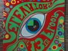 13TH FLOOR ELEVATORS - PSYCHEDELIC SOUNDS 1967 RARE MONO 1st PRESS top EX/EX+