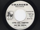 '64 W  Coast White DooWop/Instro DEL SHAYS (Love You) Forever/Fake It M- DJ HEAR