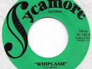 ALABAM Whiplash on Sycamore weird trucker country 45 HEAR