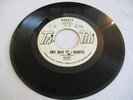HARVEY - ANY WAY YOU WANTA / SHE LOVES ME SO - TRI-PHI DJ
