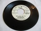 THE REFLECTIONS - LIKE ADAM AND EVE / VITO'S HOUSE - ABC-PARAMOUNT DJ