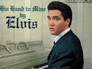Elvis Presley 