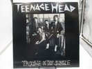 Teenage Head 