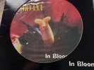 NIRVANA  IN BLOOM   LTD EDITION UK 12