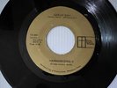 Rare Gospel Soul Funk 45/ The Harmoninzing V 