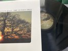 The Sunset Tree by The Mountain Goats (Record, 2008)